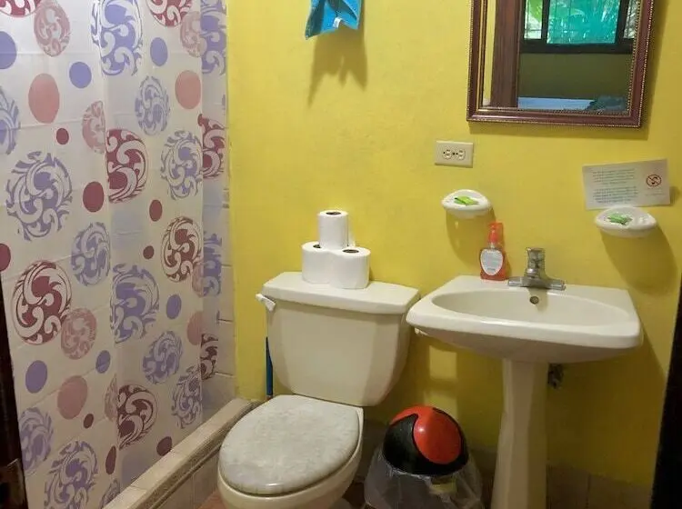 اتاق سوپریور چهار تخته, Tasty Dayz Hostel