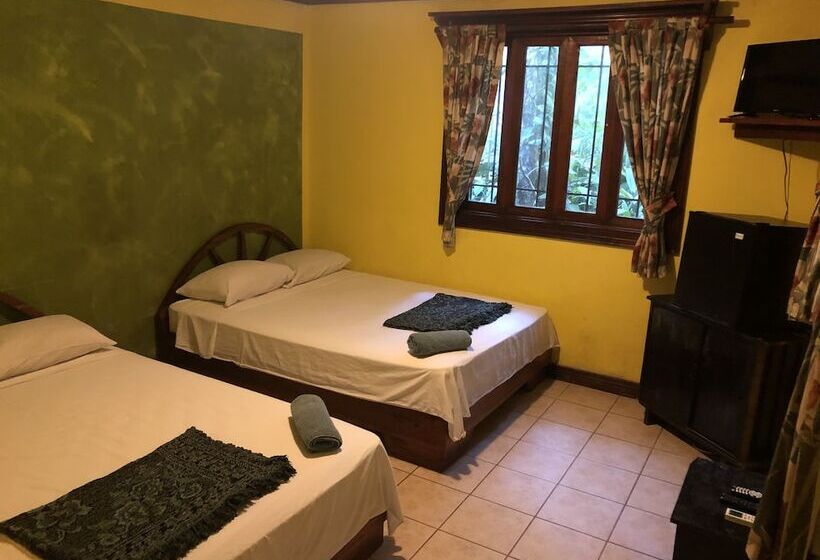 4인용 수피리어 룸, Tasty Dayz Hostel