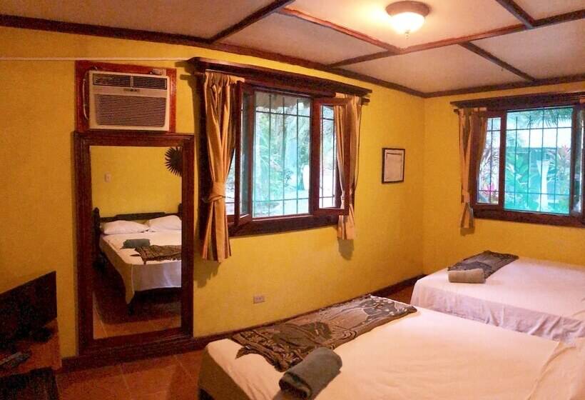 4인용 수피리어 룸, Tasty Dayz Hostel