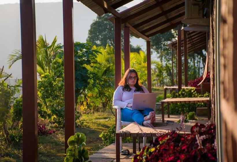 اتاق لوکس, Mysticstays Resort