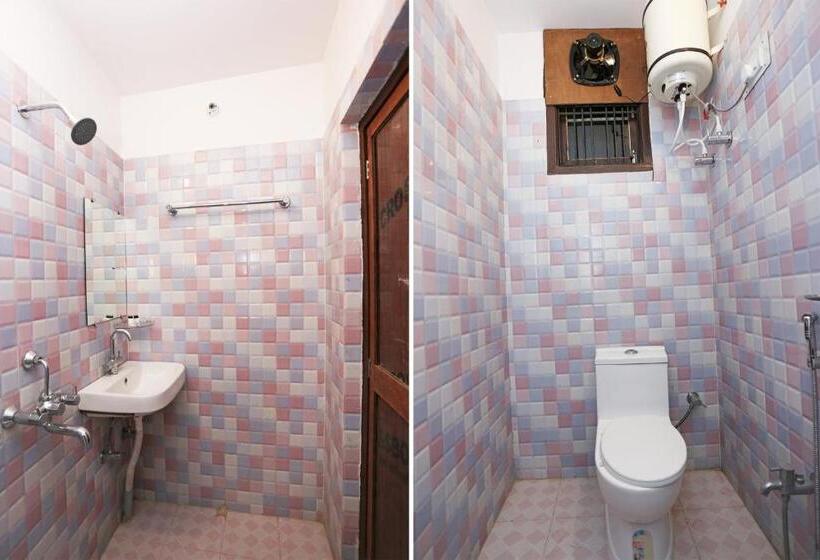 اتاق عادی یک تخته, O Near Anisabad Golambar