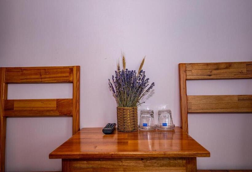 اتاق خانوادگی با چشمانداز کوه, Lan Anh S Home