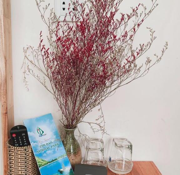 اتاق خانوادگی با چشمانداز کوه, Lan Anh S Home