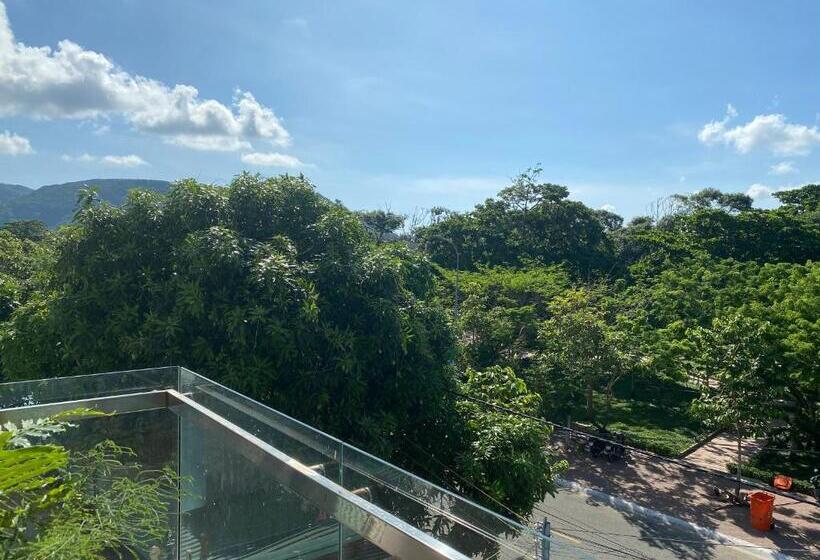 اتاق خانوادگی با چشمانداز باغ, Lan Anh S Home