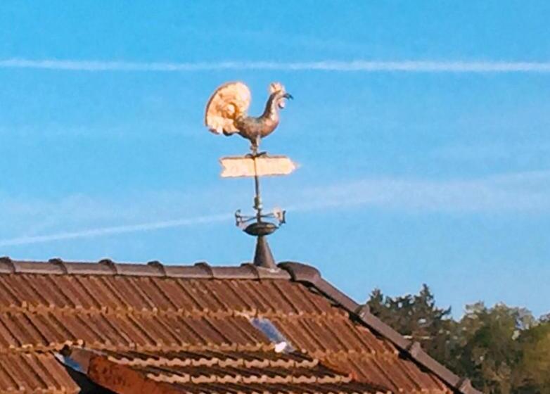 1ベッドルームドゥプレックスアパートメント, Ad1716 Apartments