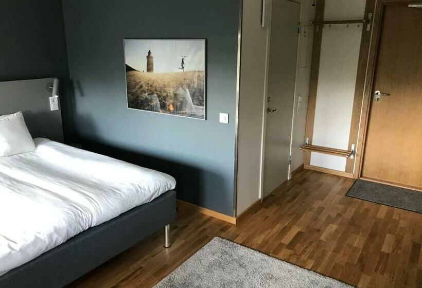 스탠다드 스튜디오, The Studio