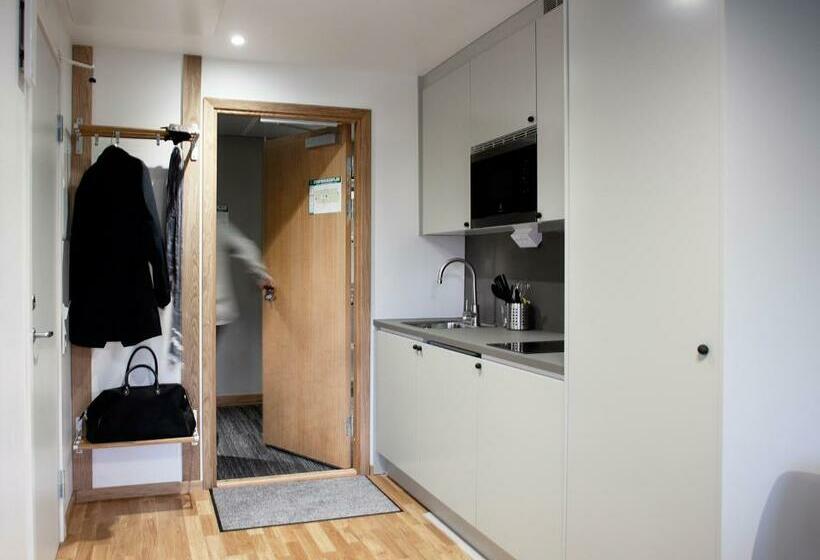 스탠다드 스튜디오, The Studio