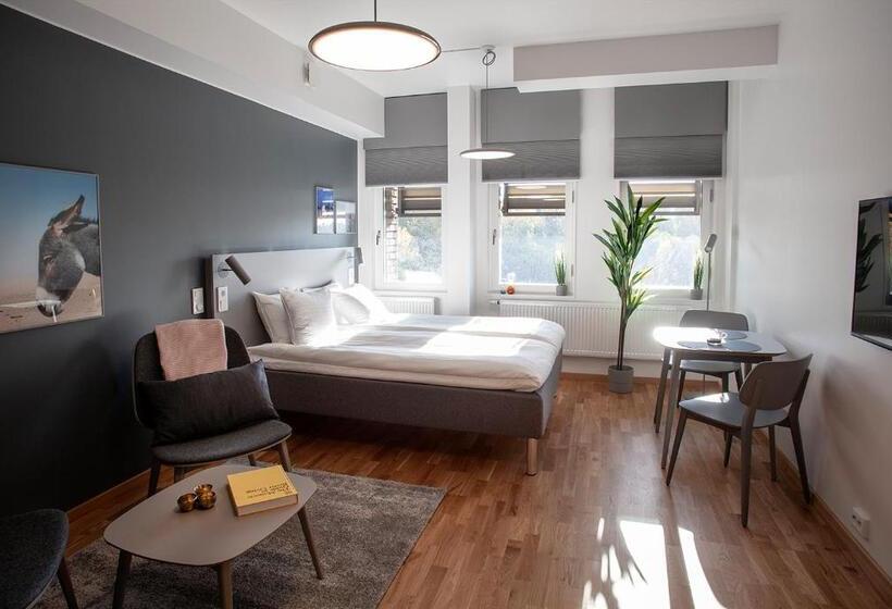 استودیوی استاندارد با تخت دوبل, The Studio