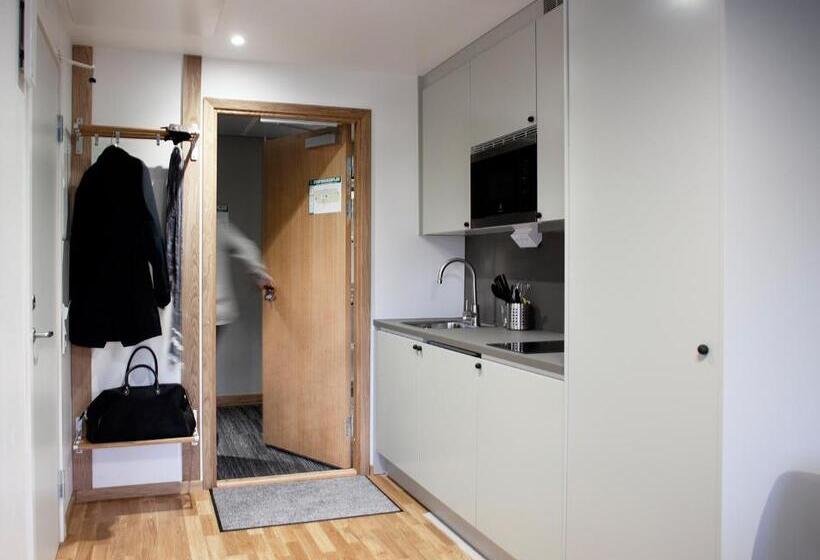 استودیوی استاندارد با تخت دوبل, The Studio