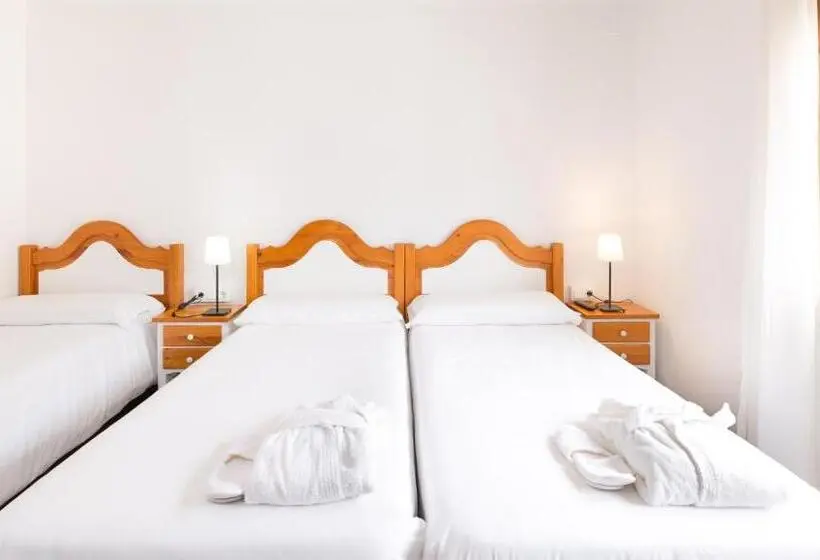 Üç Kişilik Standart Oda, Hostal Trainera