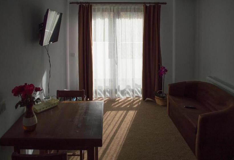 דירת חדר, Pensiune Casa Ampeia