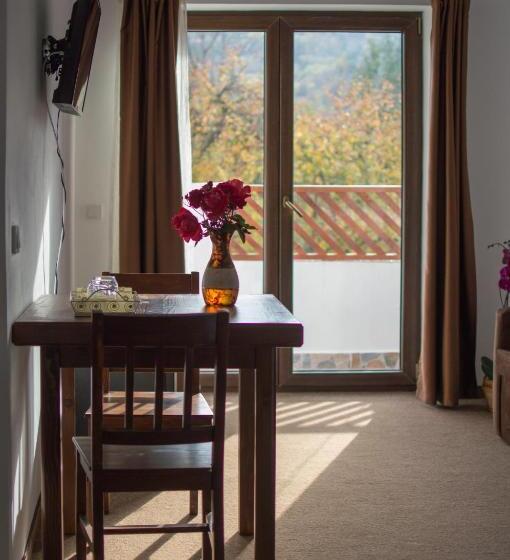 Апартаменты 1 Спальня, Pensiune Casa Ampeia