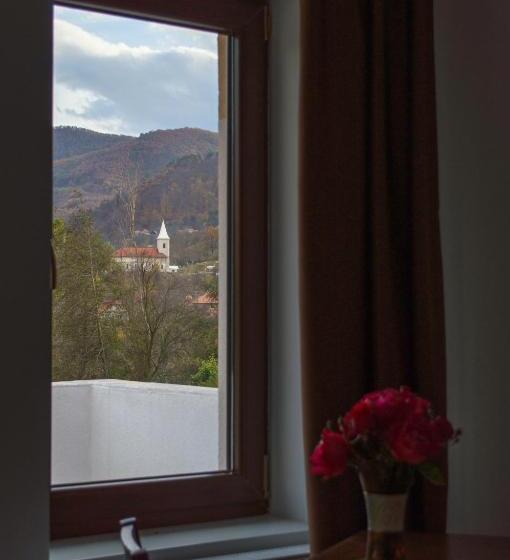 חדר סופריור נוף לגינה, Pensiune Casa Ampeia