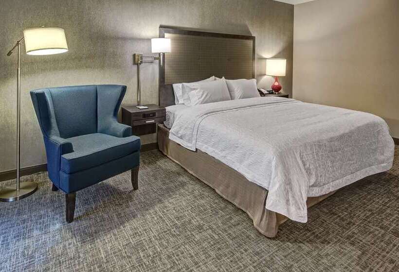 غرفة قياسية سرير كينج لذوى الإحتياجات الخاصة, Hampton Inn & Suites Logan