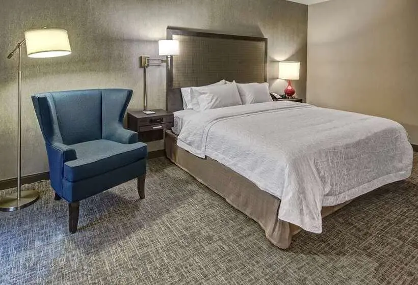身障者適用キングサイズベッドルーム, Hampton Inn & Suites Logan