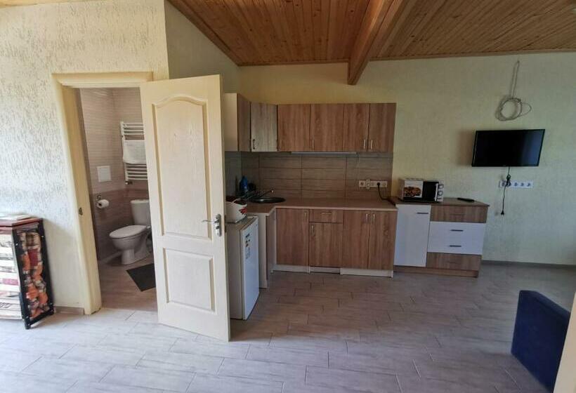 آپارتمان 1 خوابه, Salut