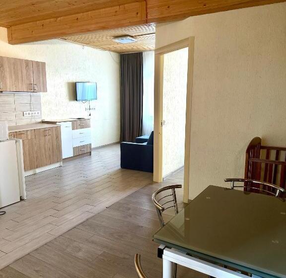 آپارتمان 1 خوابه, Salut