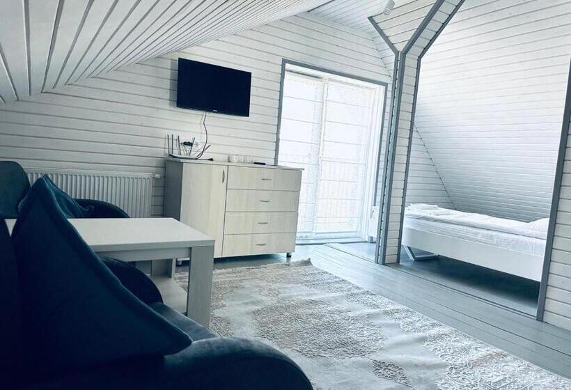 اتاق استاندارد سه تخته با بالکن, Salut