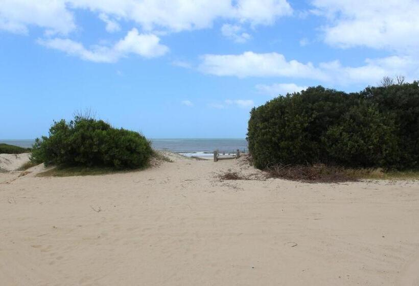 1ベッドルームアパートメント, La Paloma Containers Suites