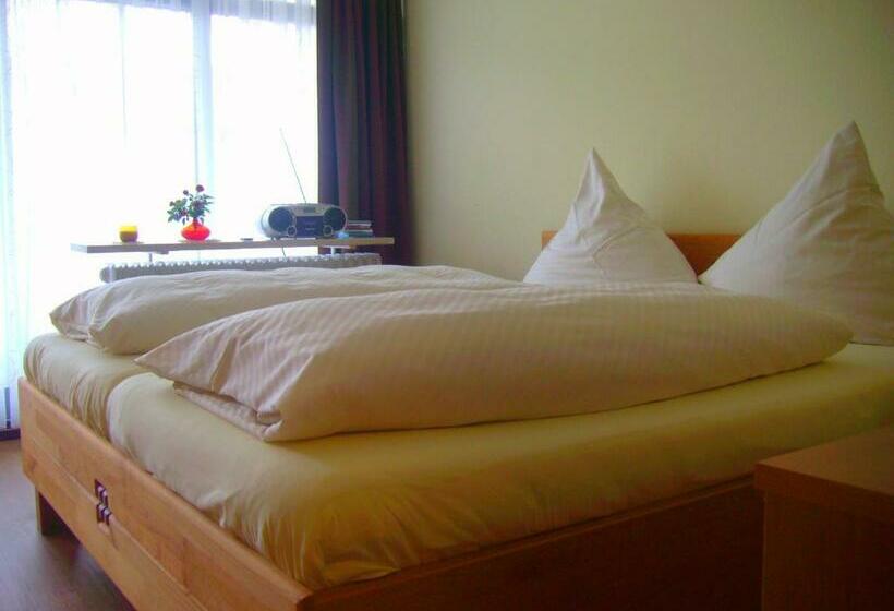 带1个卧室的高级公寓, Chalet Swiss   App.nelles