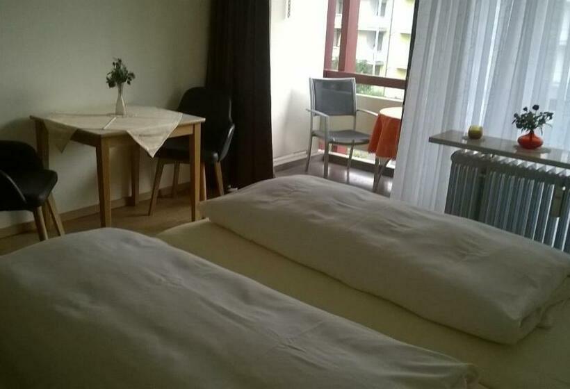 带1个卧室的高级公寓, Chalet Swiss   App.nelles