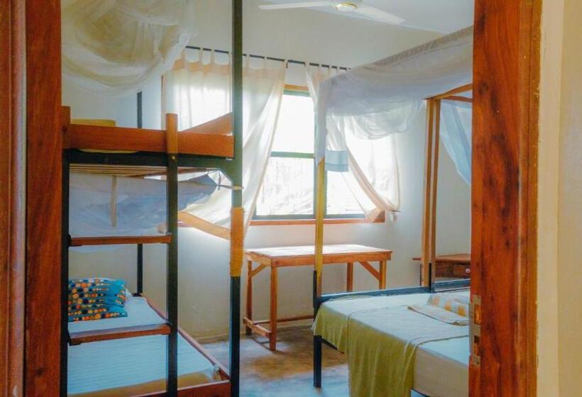 バス共有のスタンダードルーム, The Slow Leopard Kilwa