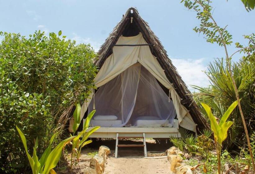 スタンダードバンガロー, The Slow Leopard Kilwa