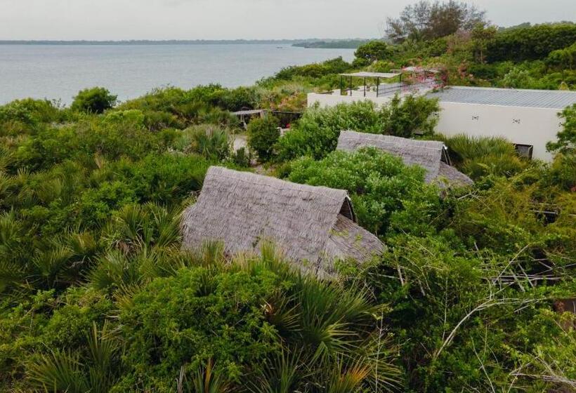 スタンダードバンガロー, The Slow Leopard Kilwa