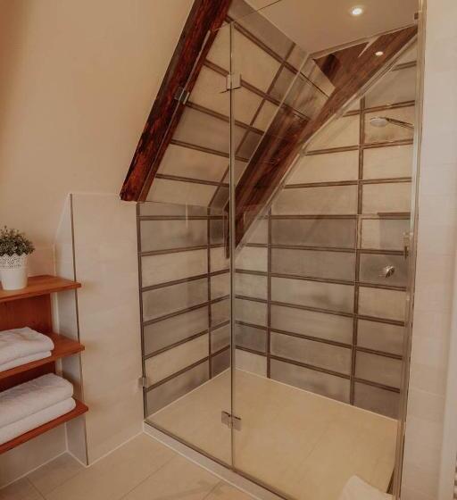 Люкс Дюплекс, Altstadtmittehotel Sonne