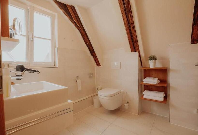 Люкс Дюплекс, Altstadtmittehotel Sonne