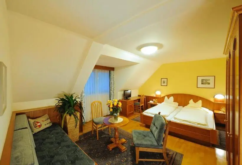 スタンダードルーム, Gasthof Hotel Moser