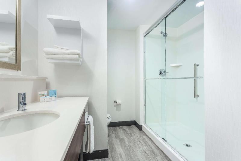 스탠다드 룸 킹사이즈 침대, Hampton Inn & Suites Saraland Mobile