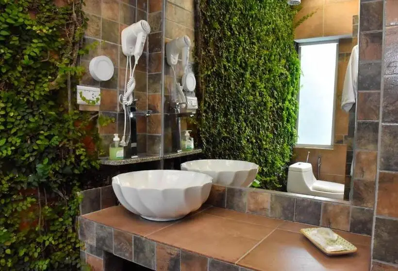 اتاق سوپریور, Design House Corrientes