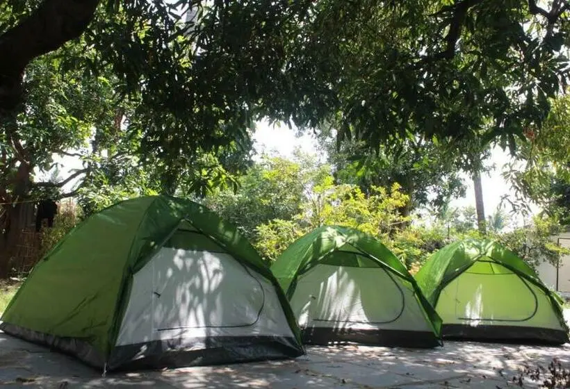 Standard Tent, Dream Mango Hampi