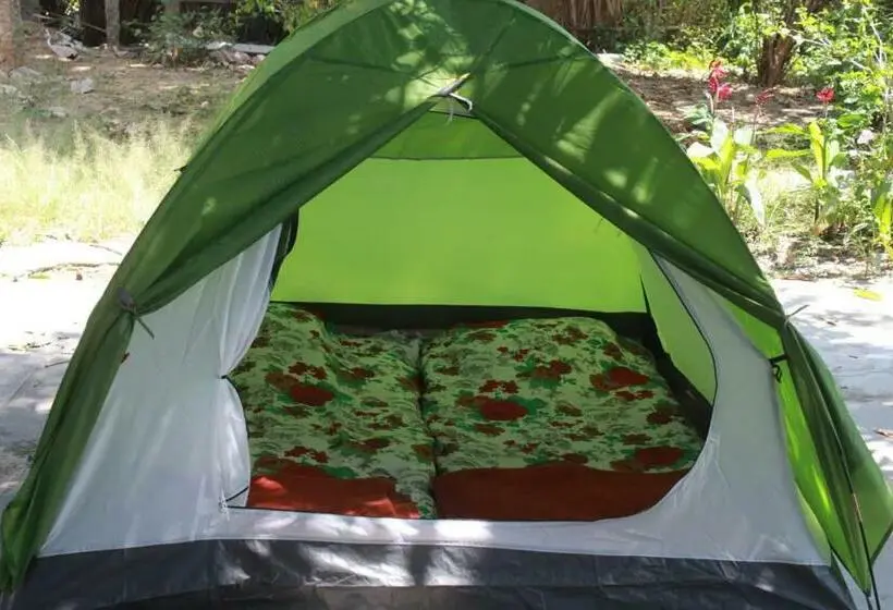 Standard Tent, Dream Mango Hampi