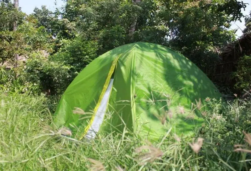 Standard Tent, Dream Mango Hampi