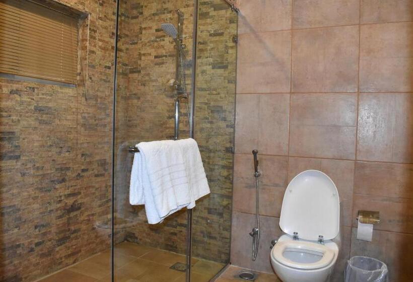 استودیوی لوکس, Safari Club 1