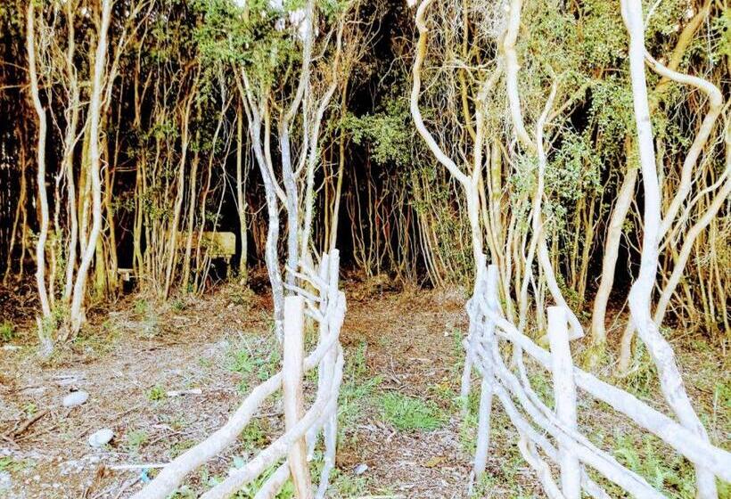 3 Schlafzimmer Apartment, Terrazas De Nercon