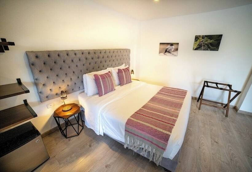 اتاق لوکس, Terasu Hotel Boutique Salento