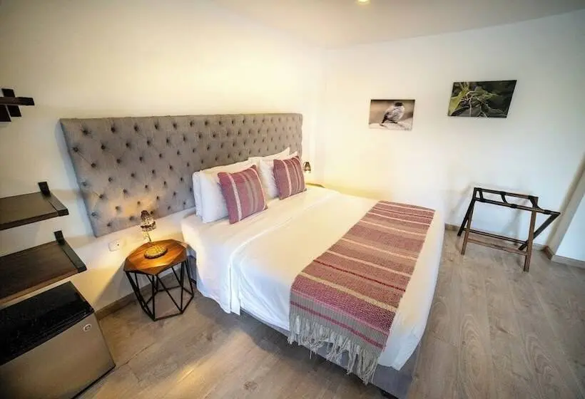 デラックスルーム, Terasu Hotel Boutique Salento