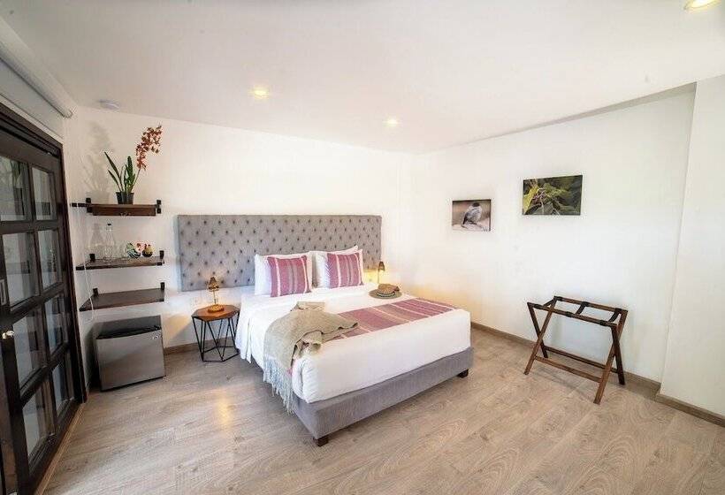 اتاق لوکس, Terasu Hotel Boutique Salento