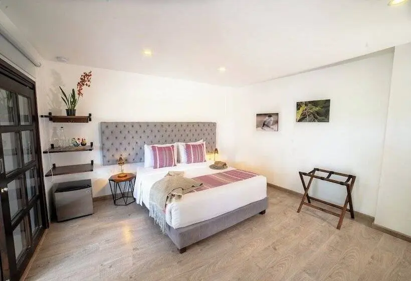 デラックスルーム, Terasu Hotel Boutique Salento