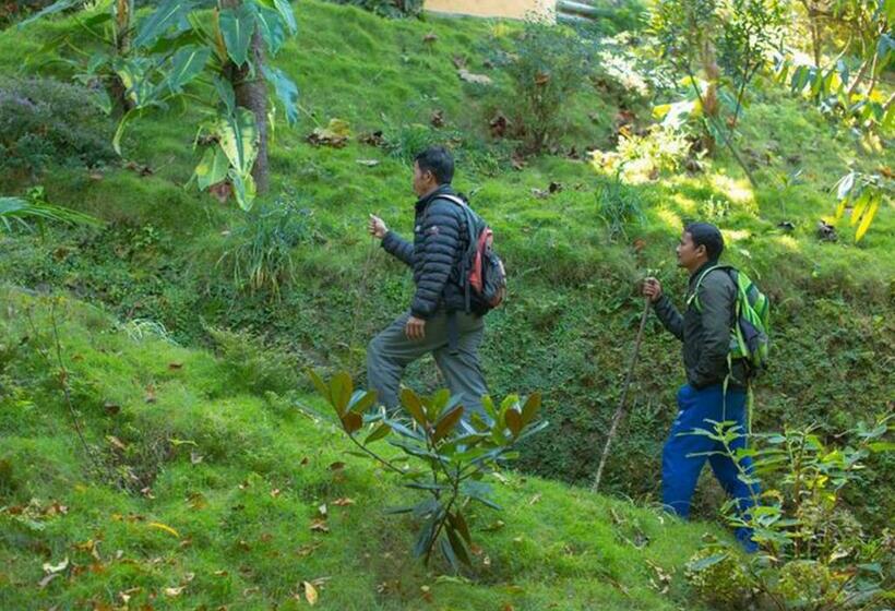 اتاق لوکس, The Lapsi Tree