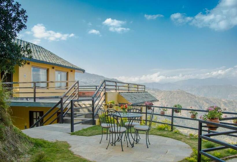 اتاق لوکس, The Lapsi Tree