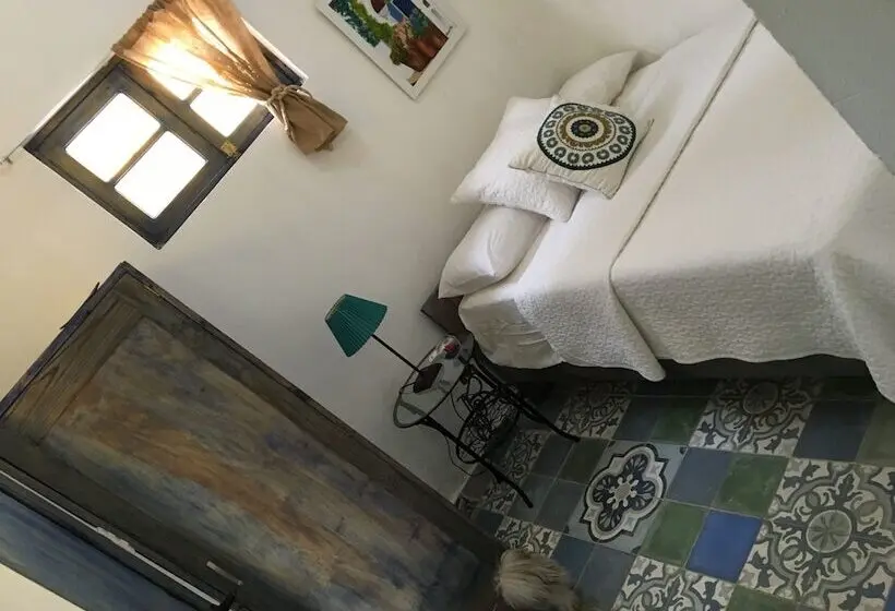 استودیوی استاندارد, Chao Mamá Hostal