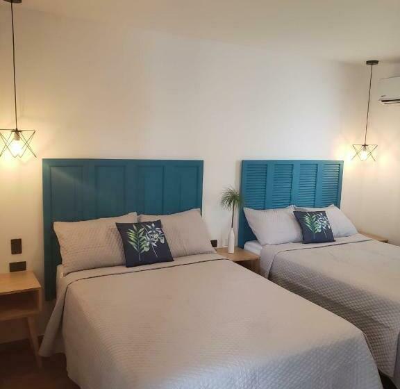 חדר סטנדרט, Citlalli