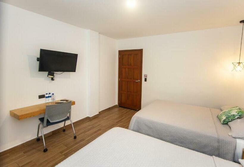 חדר סטנדרט, Citlalli