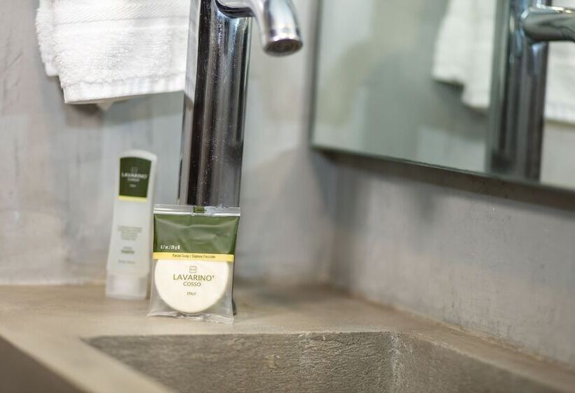 חדר סטנדרט יחיד, Citlalli