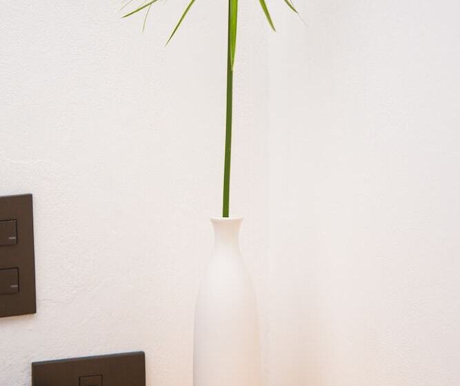 חדר סטנדרט יחיד, Citlalli