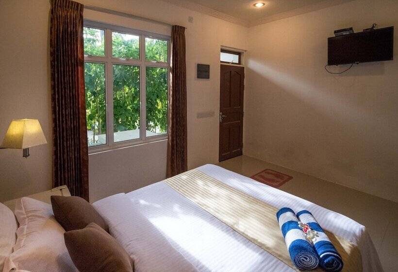 اتاق استاندارد, South Ari Dive Center